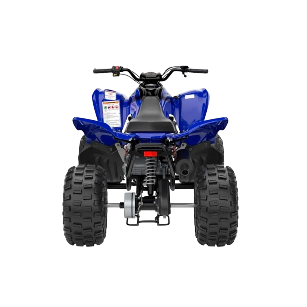 YAMAHA RAPTOR 110