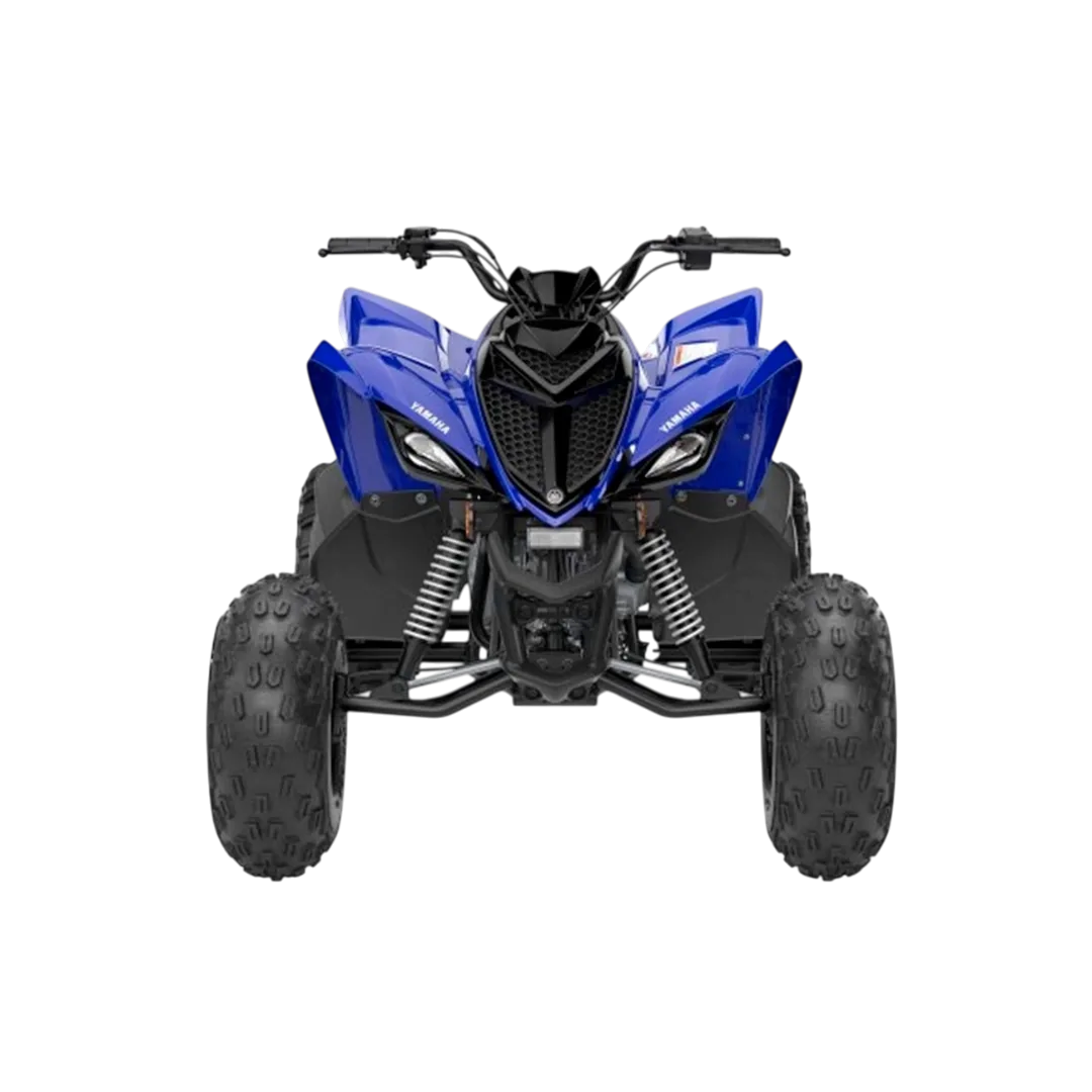 YAMAHA RAPTOR 110