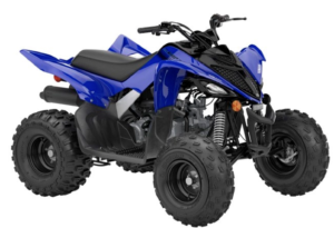 YAMAHA RAPTOR 110