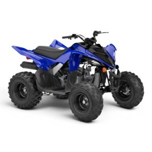 YAMAHA RAPTOR 110